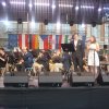 kmkolin17_76